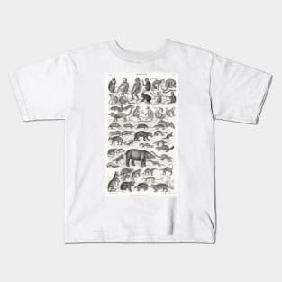 Mammalia by Oliver Goldsmith Kids T-Shirt